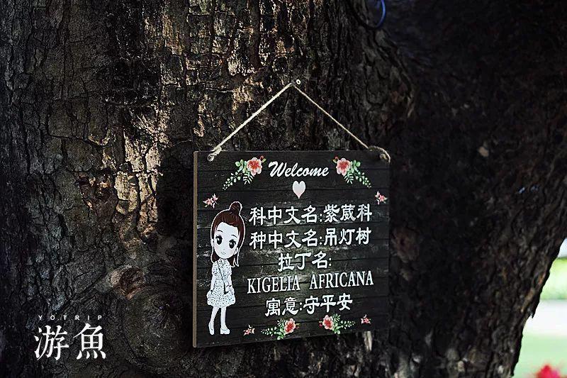 掌握脑卒中这些预警信号，突然发作会识别！不慌张！